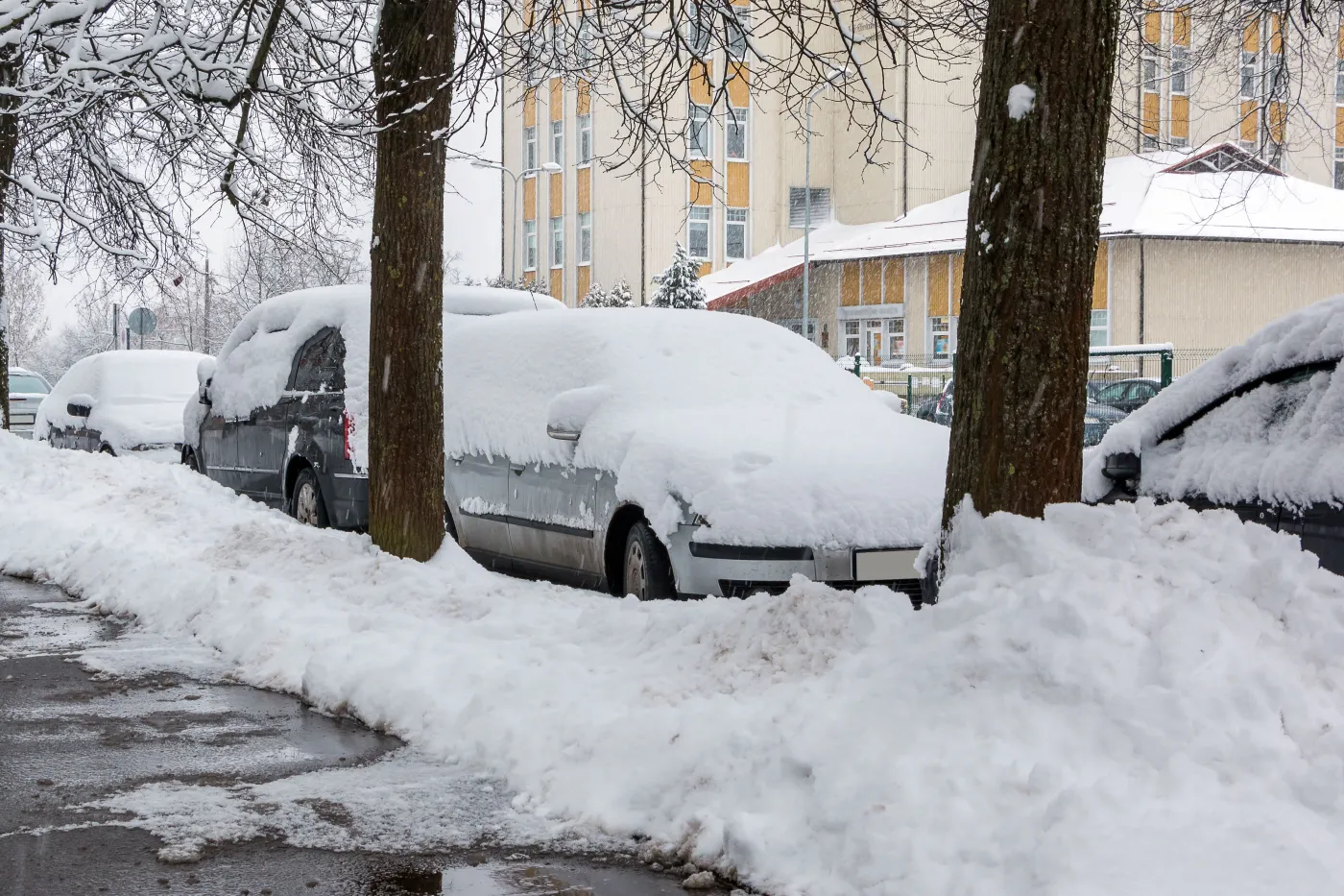 Transportowy chaos w Holandii. Atak zimy sparaliżował kraj