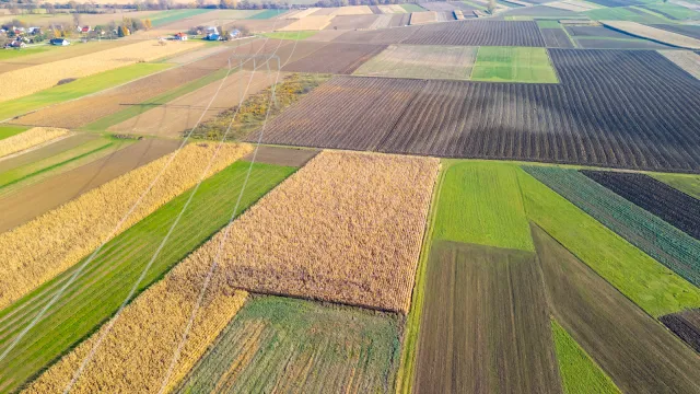 Samorządy są pod presją czasu. Tylko do końca sierpnia mają czas na uchwalenie dokumentu Plan Ogólny Gminy