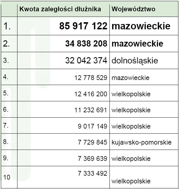 10_najbardziej_zadluzonych_osob_w_polsce_293193.jpg