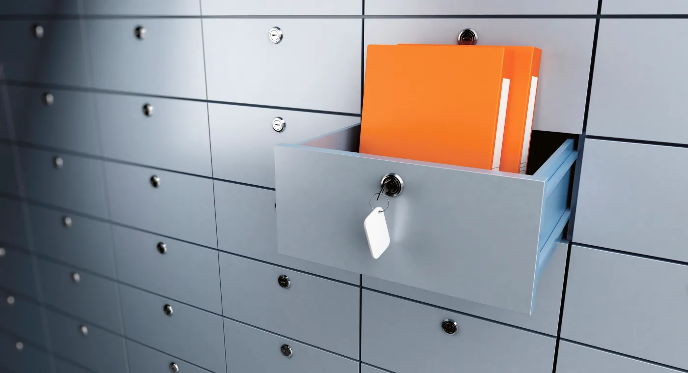 Jedenasta plaga egipska: RODO. Czy wszystkie absurdy rzeczywiście wynikają z unijnych przepisów?