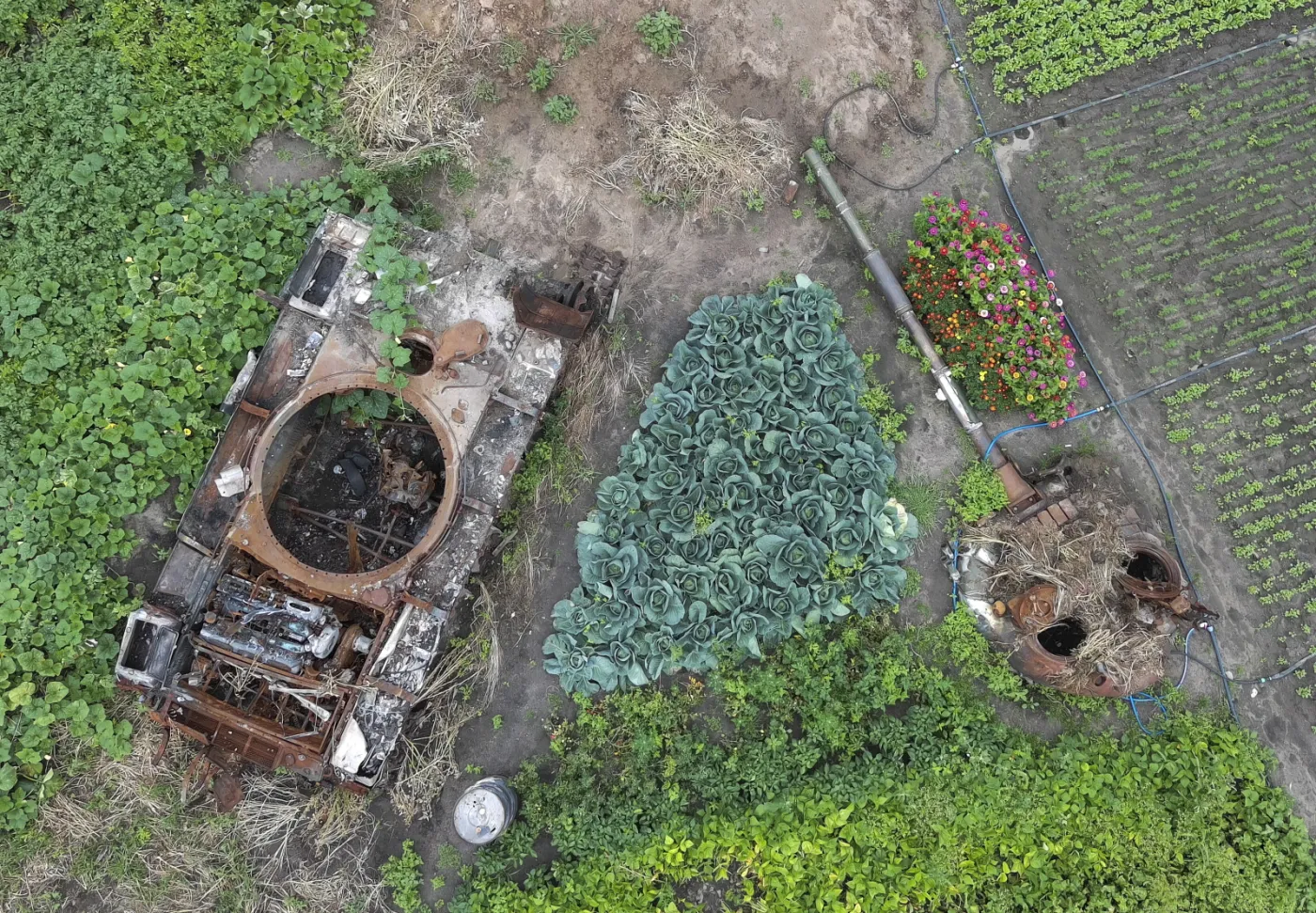 Pół roku agresji Rosji. Trwa wojna na wyniszczenie, Ukraina straciła 13 proc. terytorium