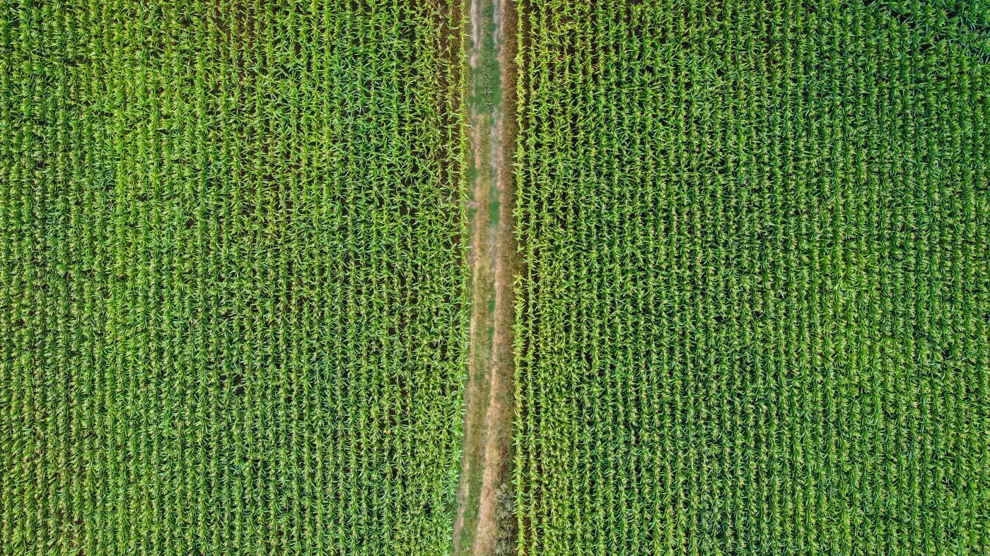 Dzieciom też należy się odszkodowanie za wypadek na roli