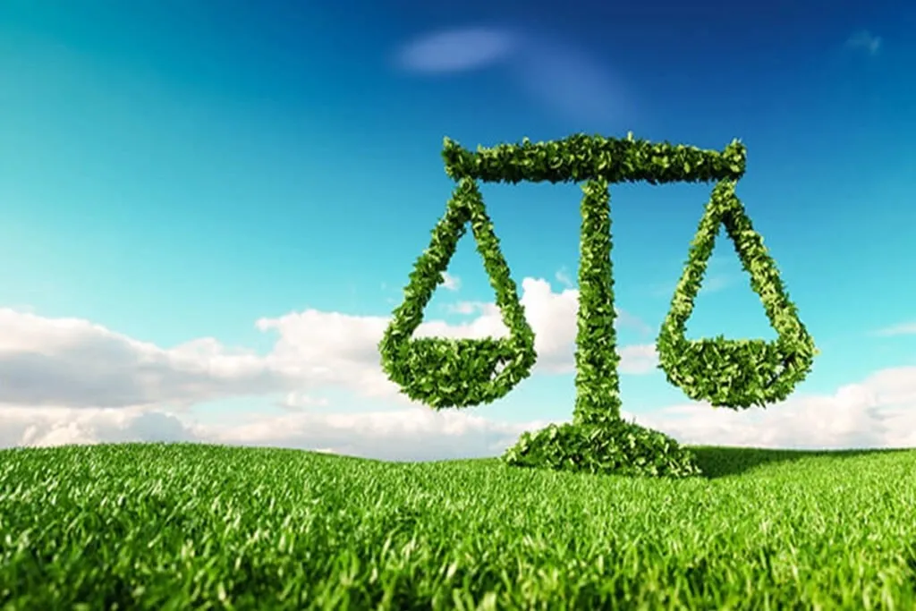 Co dalej z Zielonym Ładem? Rebranding to za mało [WYWIAD]