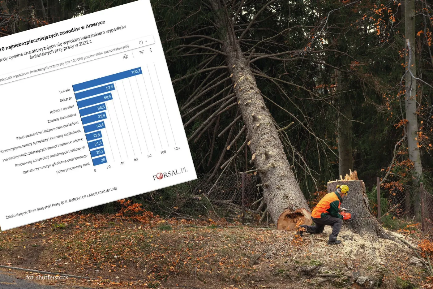 10 najniebezpieczniejszych zawodów w Stanach Zjednoczonych