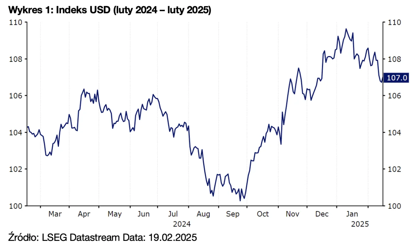 Wykres 1: Indeks USD (luty 2024 – luty 2025)