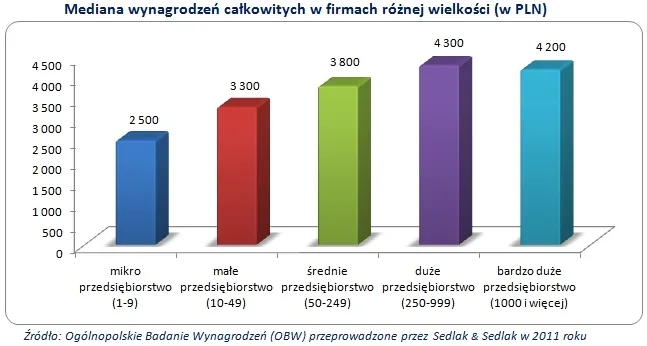 Zarobki w polskich firmach o różnej wielkości: zobacz porównanie