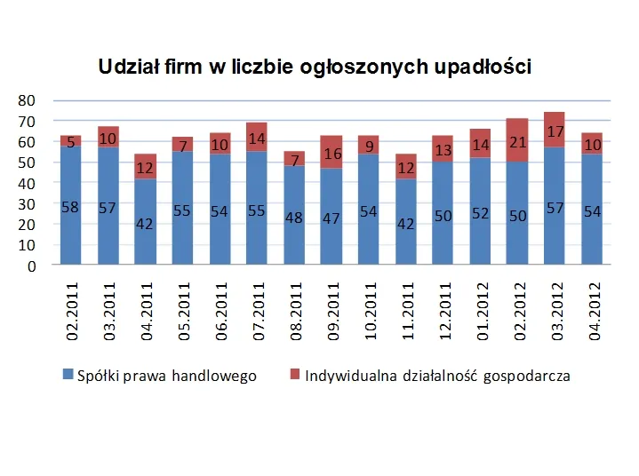 833339-udzial-firm-w-liczbie-ogloszonych-upadlosci.jpg