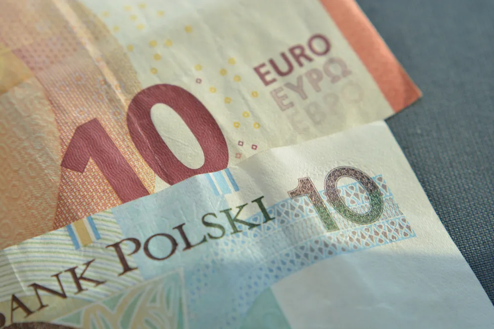 Złoty traci wobec głównych walut