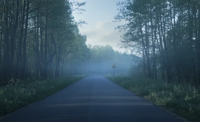 Wojna o drogi na Podlasiu i Mazurach. Biebrzy nie przetnie ekspresówka