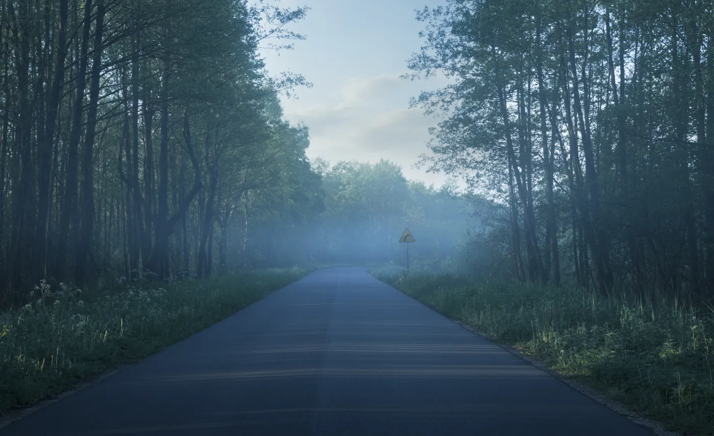 Wojna o drogi na Podlasiu i Mazurach. Biebrzy nie przetnie ekspresówka