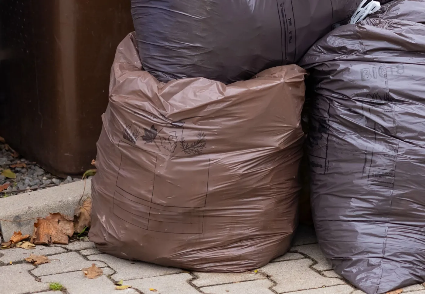 Koniec brązowych worków na odpady. W 2026 roku nie wyrzucisz śmieci jak dotąd. Nadchodzi duża zmiana w segregacji