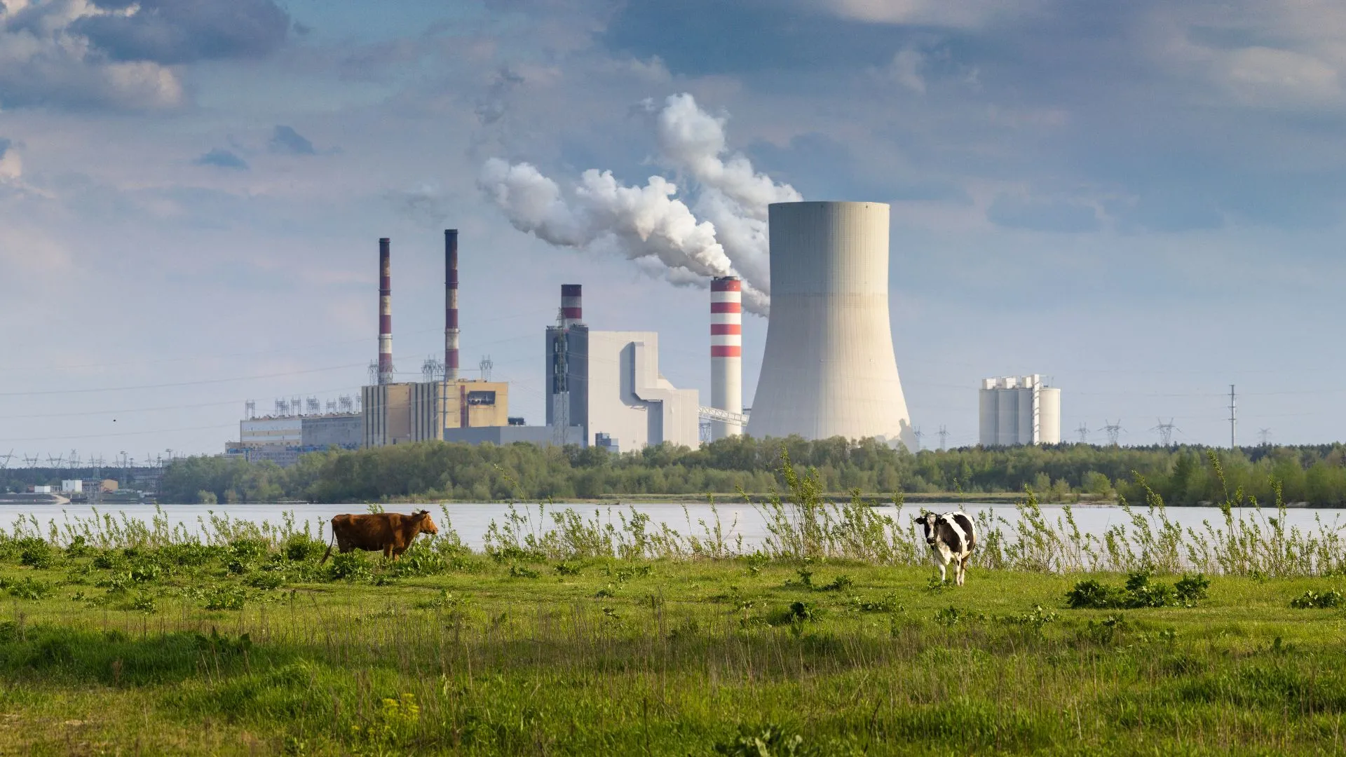 Upał uderza w elektrownie w Polsce. Trzeba je wyłączać, bo brakuje wody