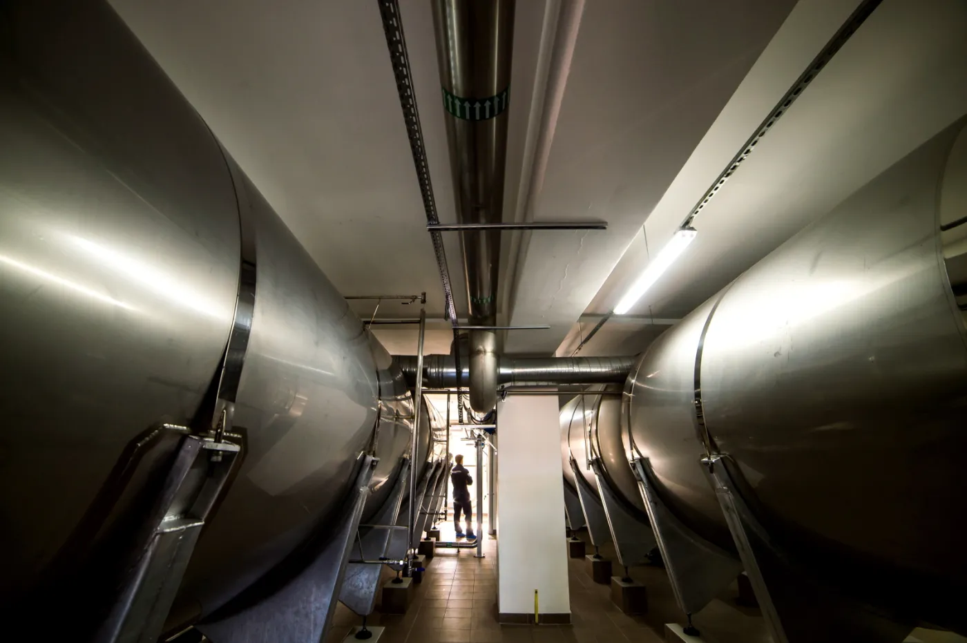 Boruta-Zachem otworzyła pierwszą na świecie tego typu linię produkcyjną zielonej chemii