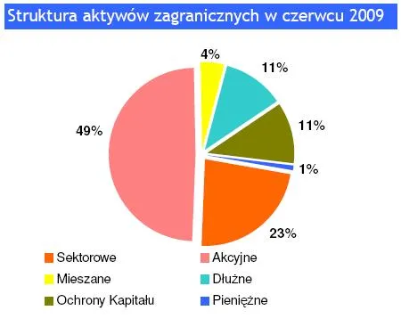 struktura_aktywow_zagranicznych_w_czerwcu_2009_92642.jpg
