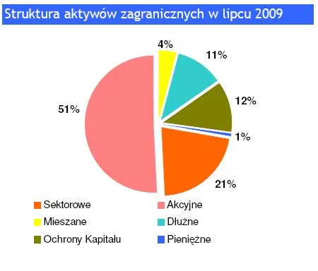 struktura_aktywow_zagranicznych_w_lipcu_2009_100527.jpg