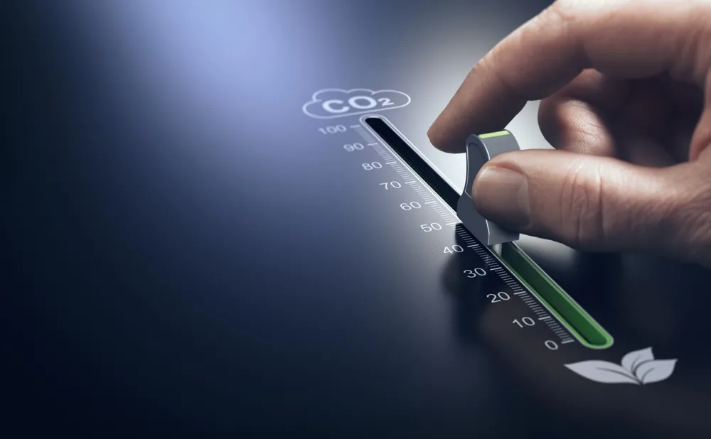 Ten rynek jest podatny na zmienność cen. Są teraz najniższe od trzech lat