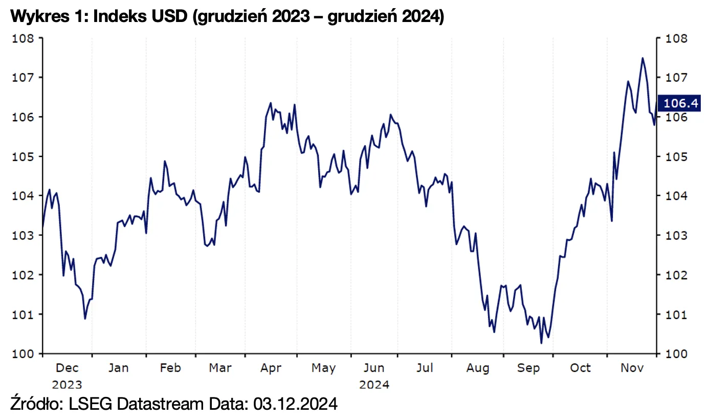Wykres 1: Indeks USD (grudzień 2023 – grudzień 2024)