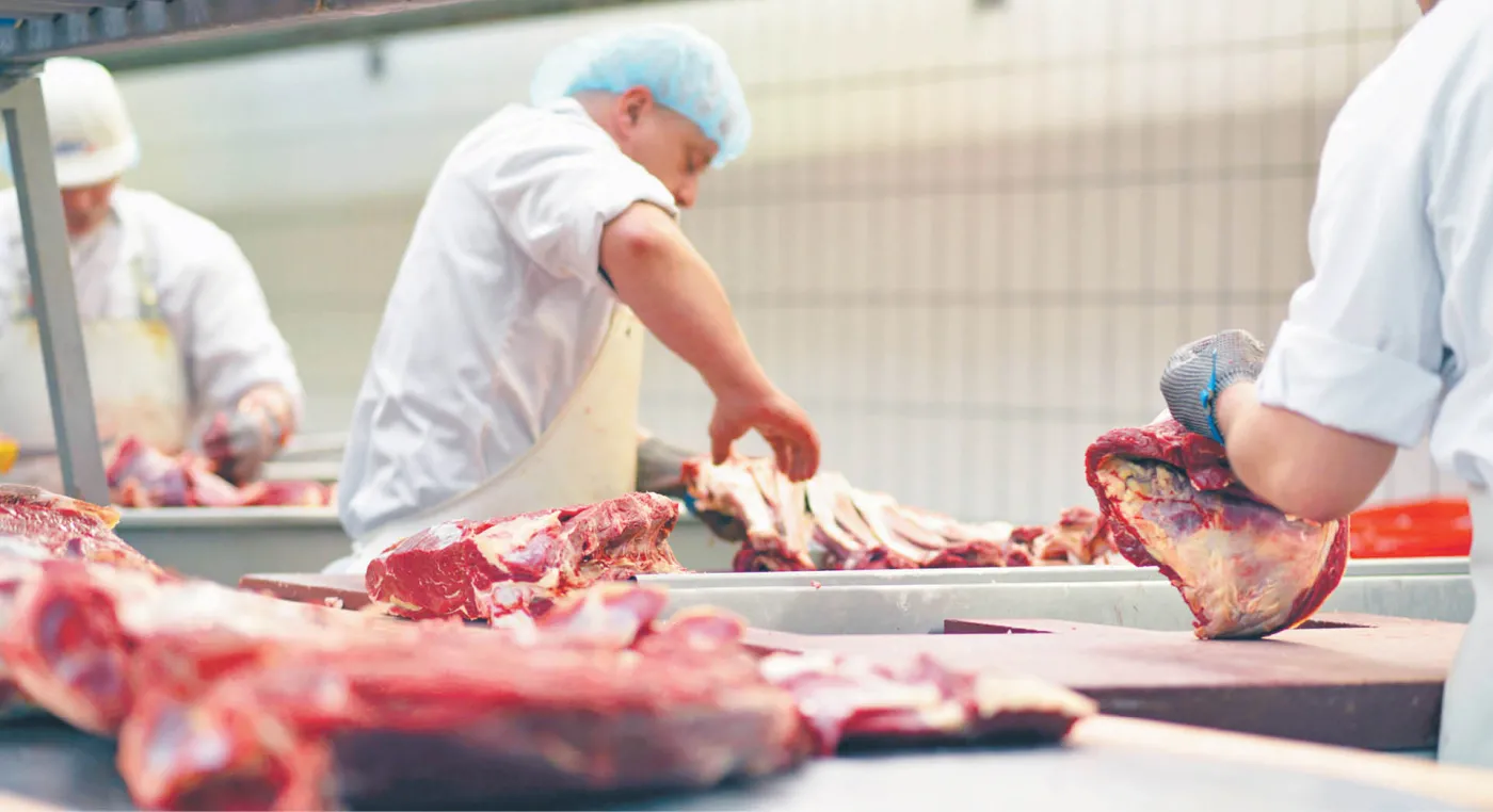 Rachunek za chore krowy zapłacą hodowcy. Trwa kampania przeciwko importowi polskiej wołowiny