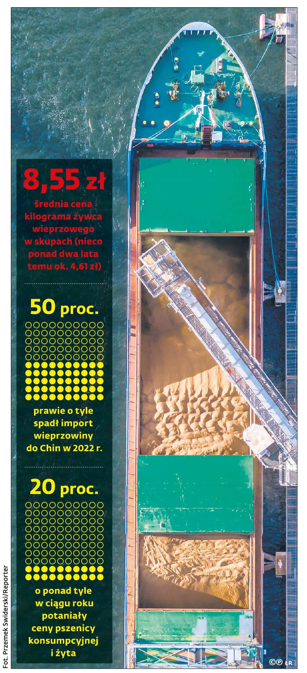 Średnia cena kilograma żywca wieprzowego w skupach