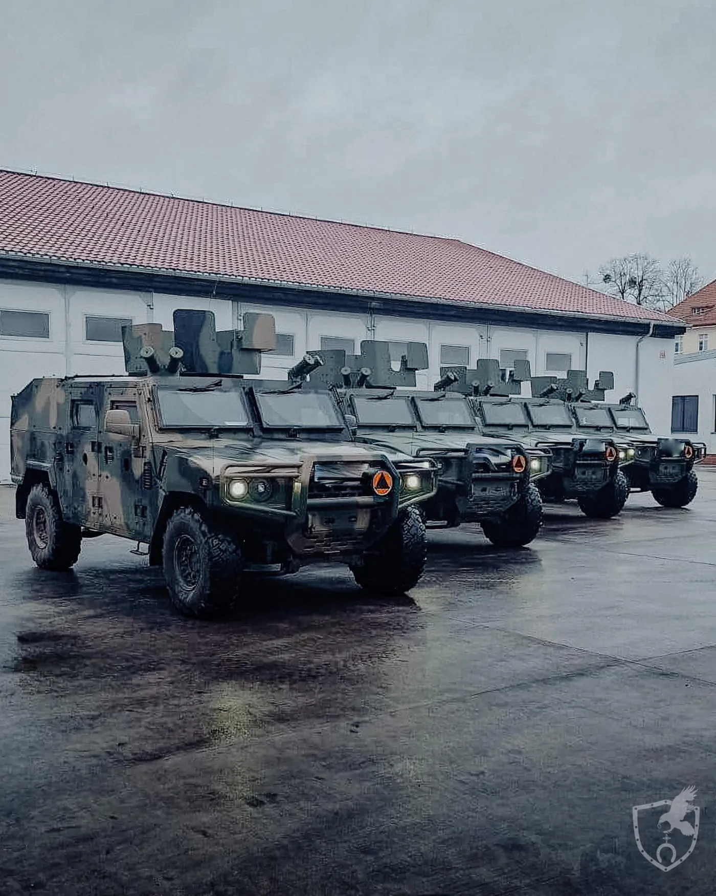 W Morągu znalazły się przynajmniej cztery Legwany.