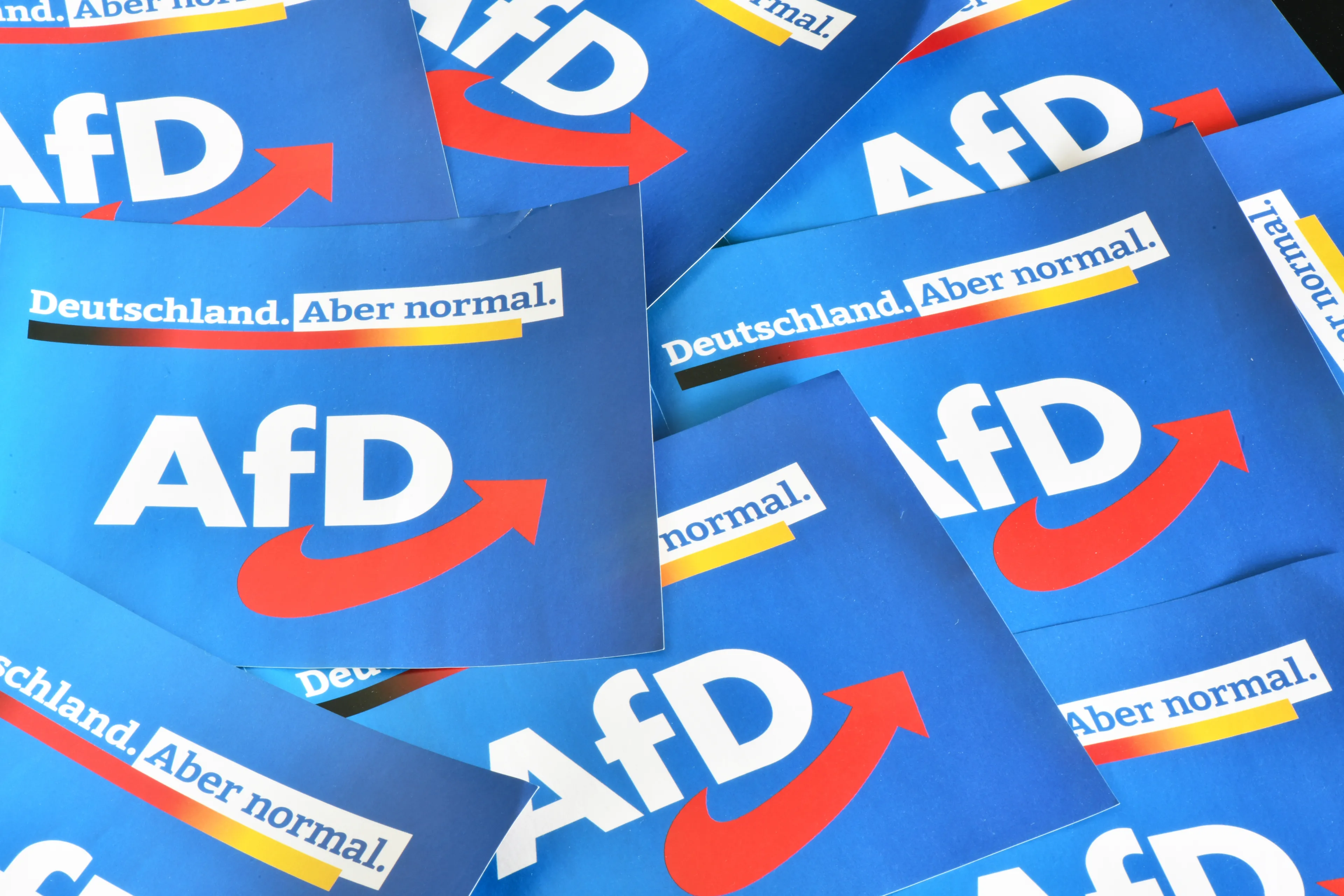 Niemcy przestają bać się AfD? Zaskakujący sondaż