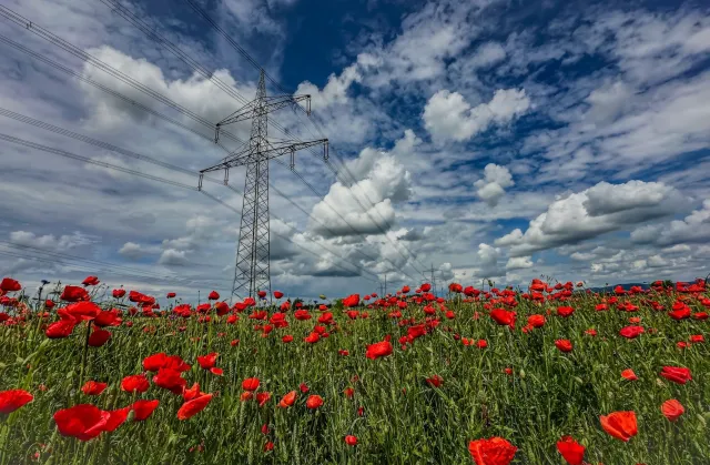 Odszkodowanie za słupy lub linie przesyłowe od przedsiębiorstwa energetycznego