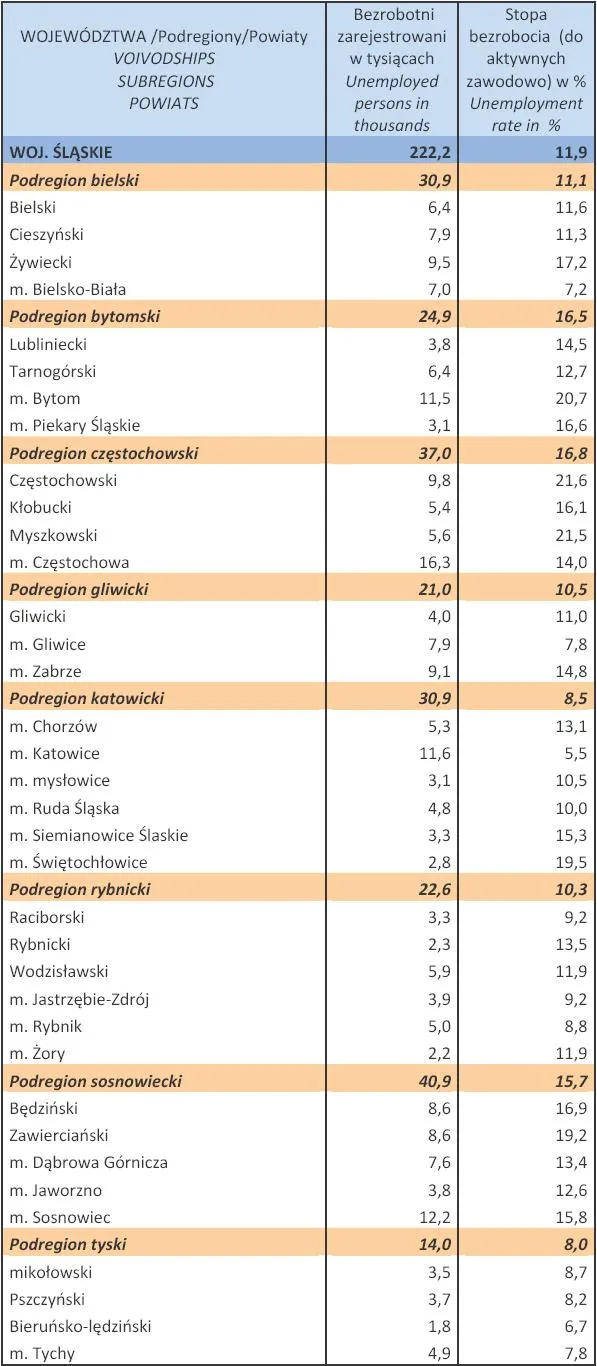 1256980-bezrobocie-w-polsce-w-styczniu-2013-r-woj-slaskie.jpg
