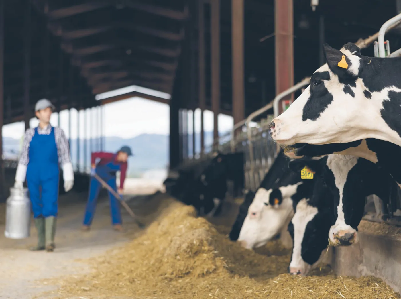 Pieniądze z Brukseli zmieniły oblicze polskiego rolnictwa
