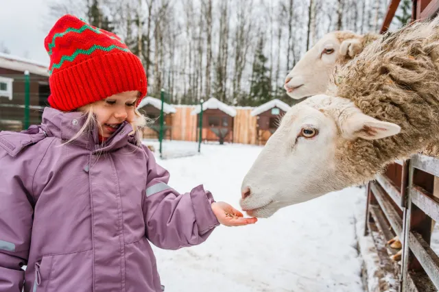Dla dzieci z tych roczników ferie będą tańsze. Dofinansowanie 1100 zł na uczestnika kolonii
