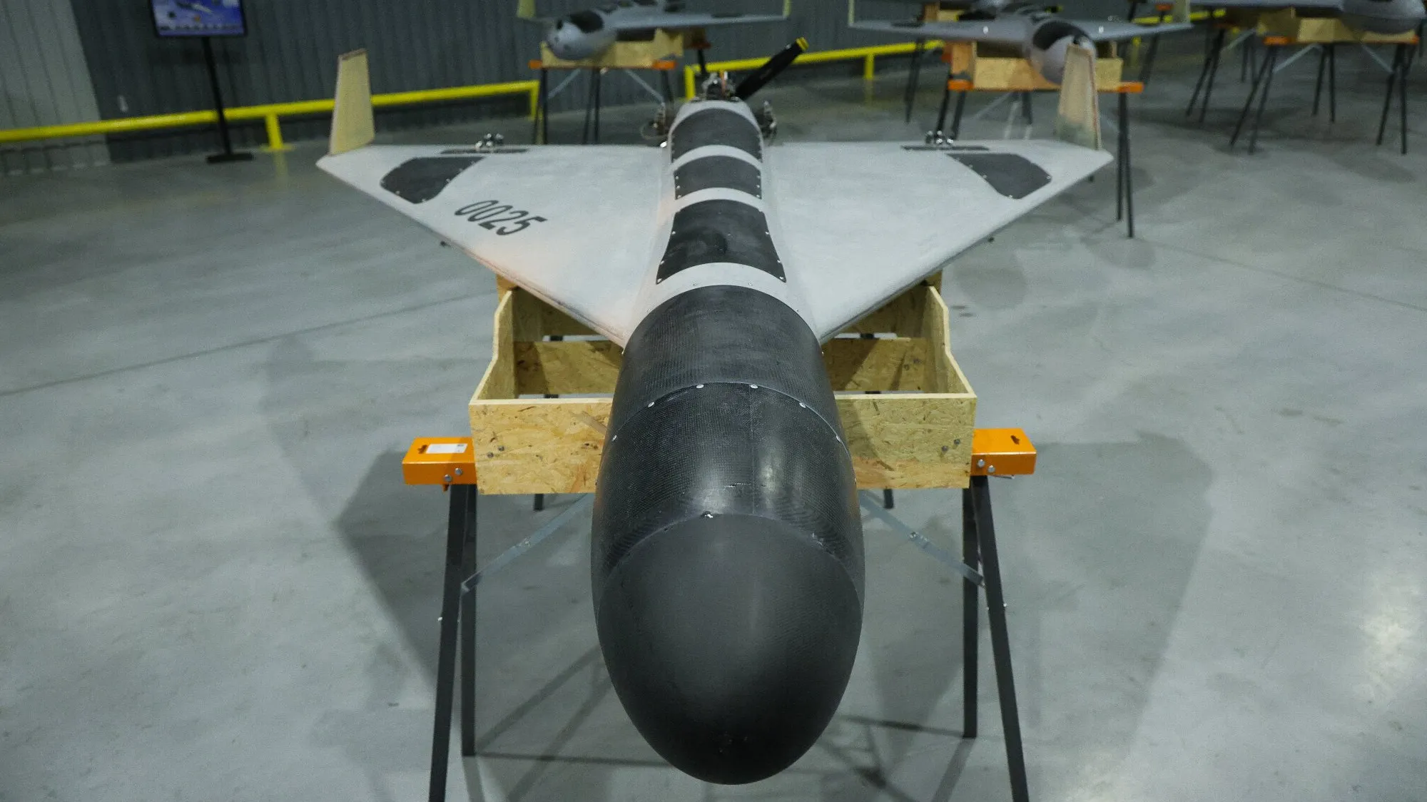 Ukrainians are writing about Polish weapons. They’re expected  to scope   Moscow