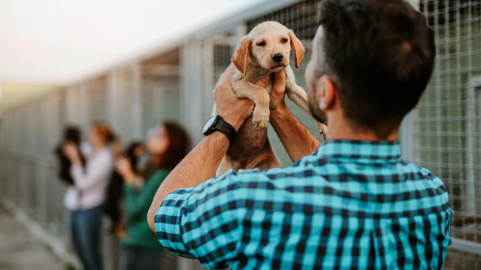 Po adopcji psa gmina wypłaca 1500 zł na konto. Program już działa