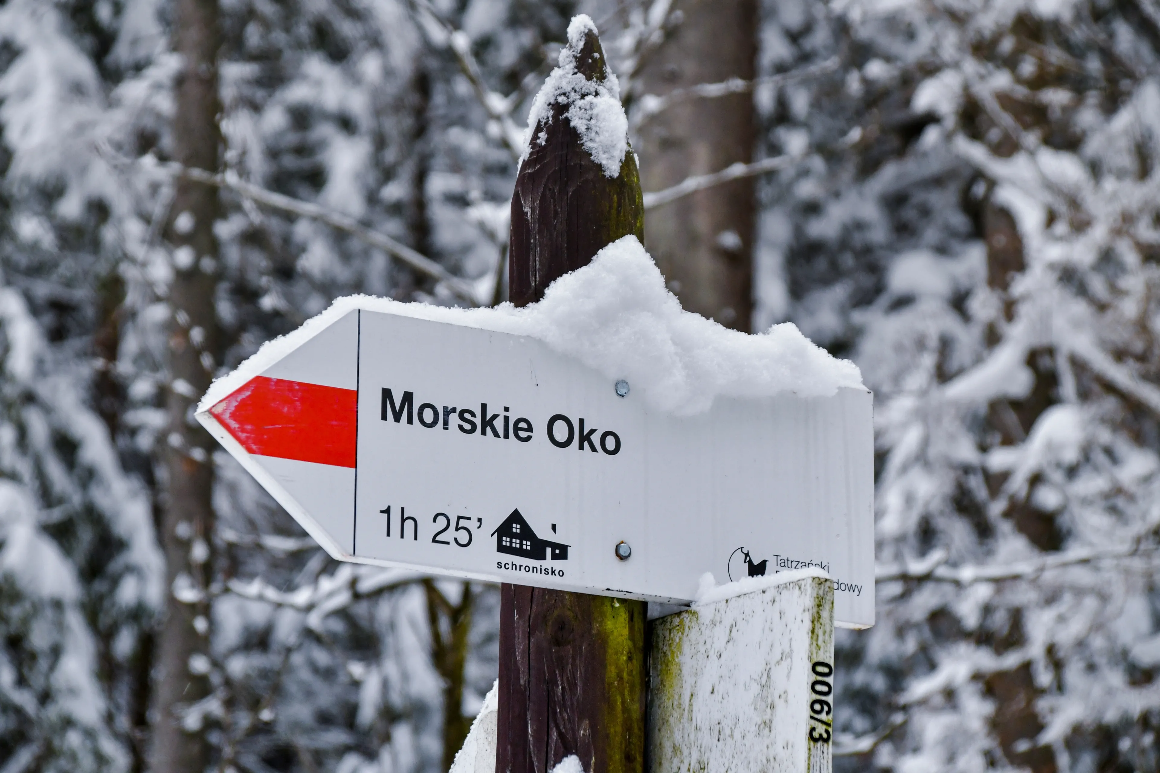 Będzie pozew po awanturze o konie nad Morskie Oko? Starostwo reaguje na wpisy w sieci