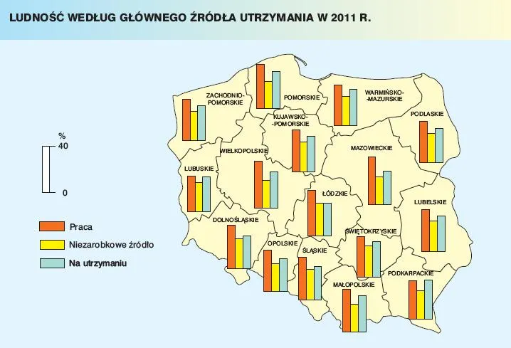 923789-ludnosc-wedlug-glownego-zrodla-utrzymania-w-2011-roku.jpg