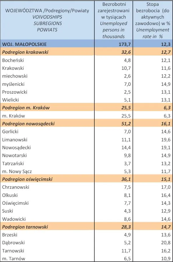 1256899-bezrobocie-w-polsce-w-styczniu-2013-r-woj-malopolskie.jpg