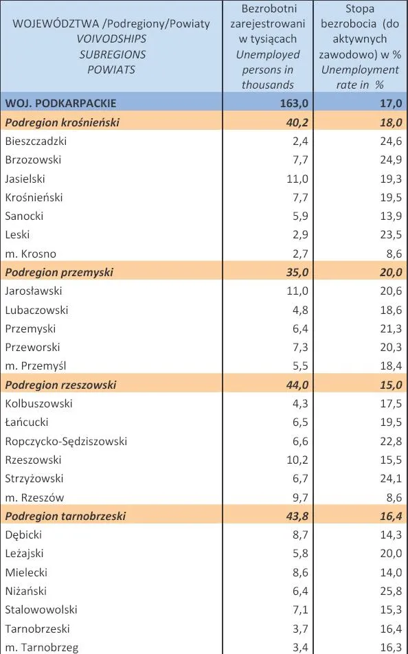 1256940-bezrobocie-w-polsce-w-styczniu-2013-r-woj-podkarpackie.jpg