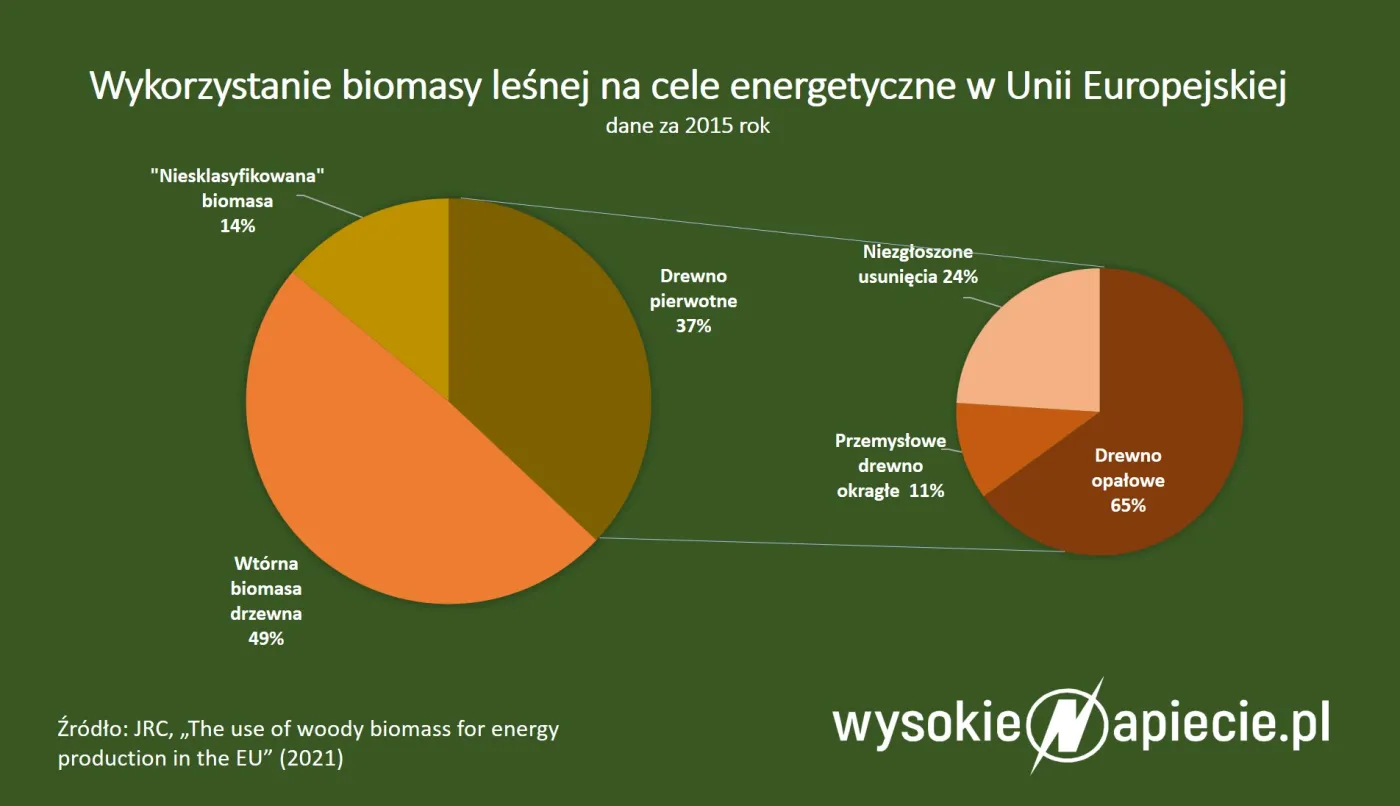 Bruksela pozwoli na spalanie drewna. Ale czy biomasa może zdrożeć?