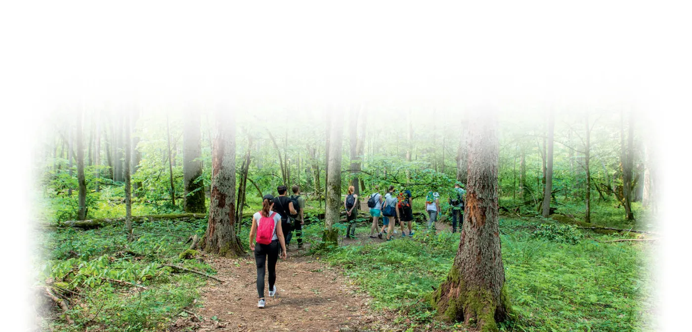 "Las to nie plantacja desek". Oto ludzie, którzy zakładają własne lasy, aby przetrwały kilka pokoleń