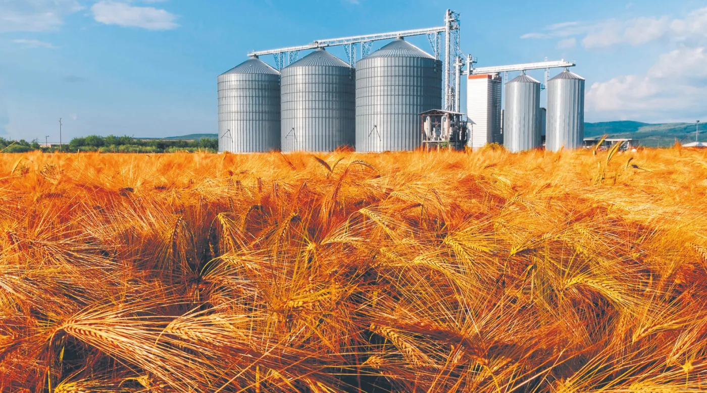 Zboże potaniało, ale tylko w porównaniu z rekordowym 2022 r.