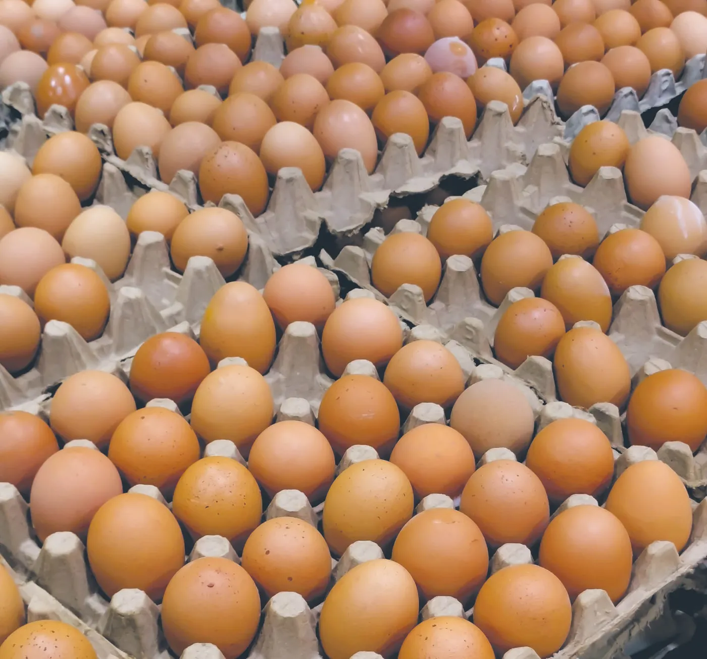 Wzrost ceny jajek na horyzoncie. Szykuje się znacząca podwyżka