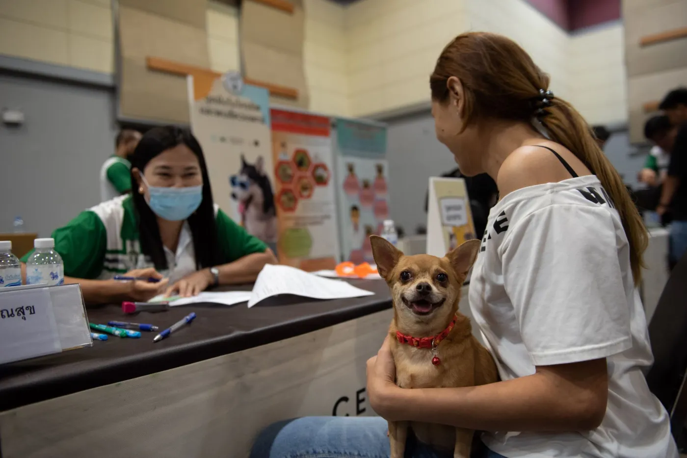 Rząd przyjął projekt ustawy. Nowy obowiązek dla właścicieli psów i kotów coraz bliżej