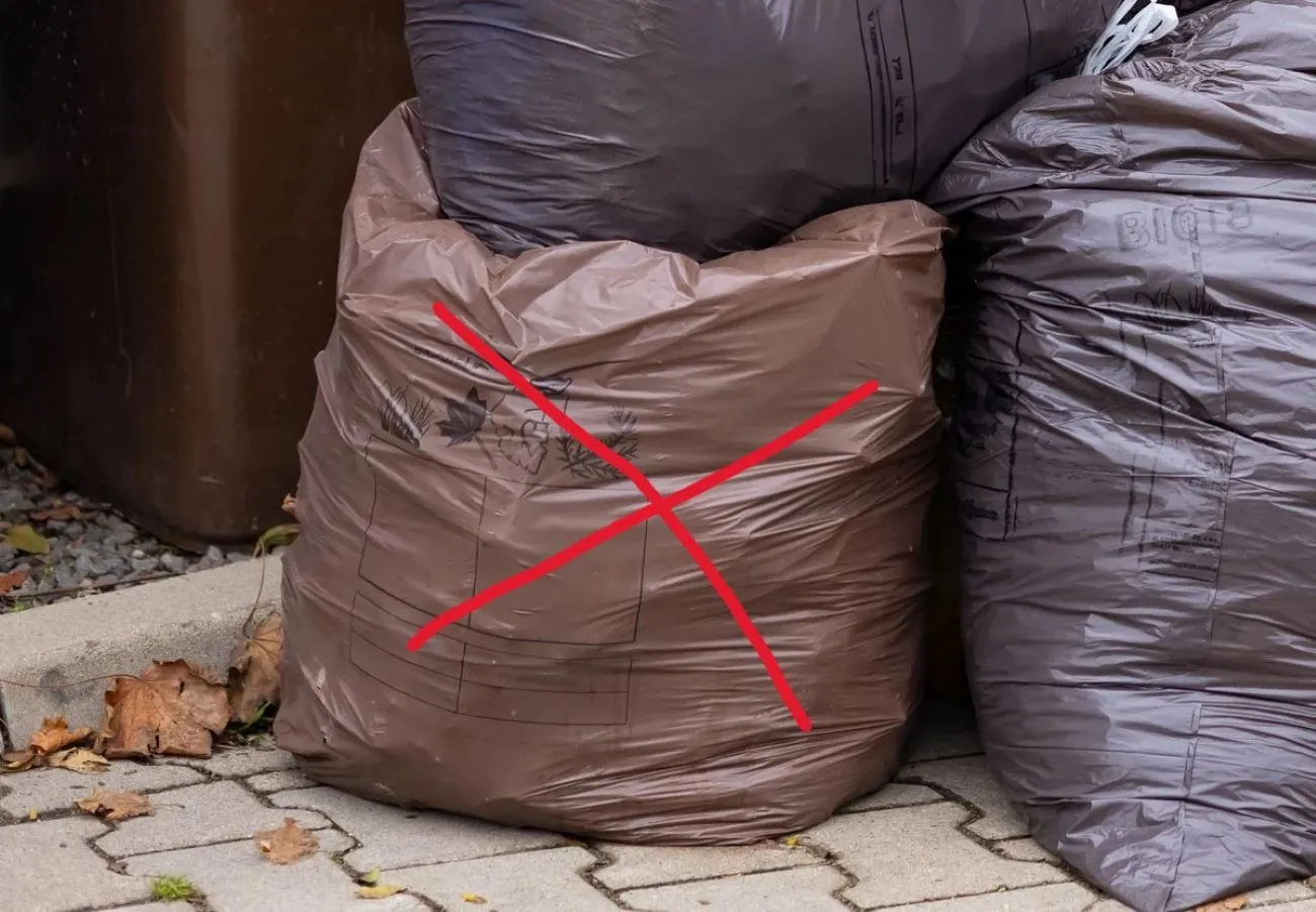 Od 1 kwietnia koniec brązowych worków na śmieci BIO. Jeden pojemnik dostaniesz za darmo, za resztę zapłacisz z własnej kieszeni