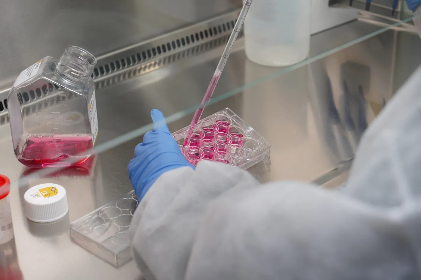 badania laboratorium 