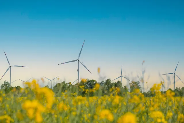 Ustawa wiatrakowa to zasadzka na prezydenta Nawrockiego? "Będzie jasny komunikat w tej sprawie"