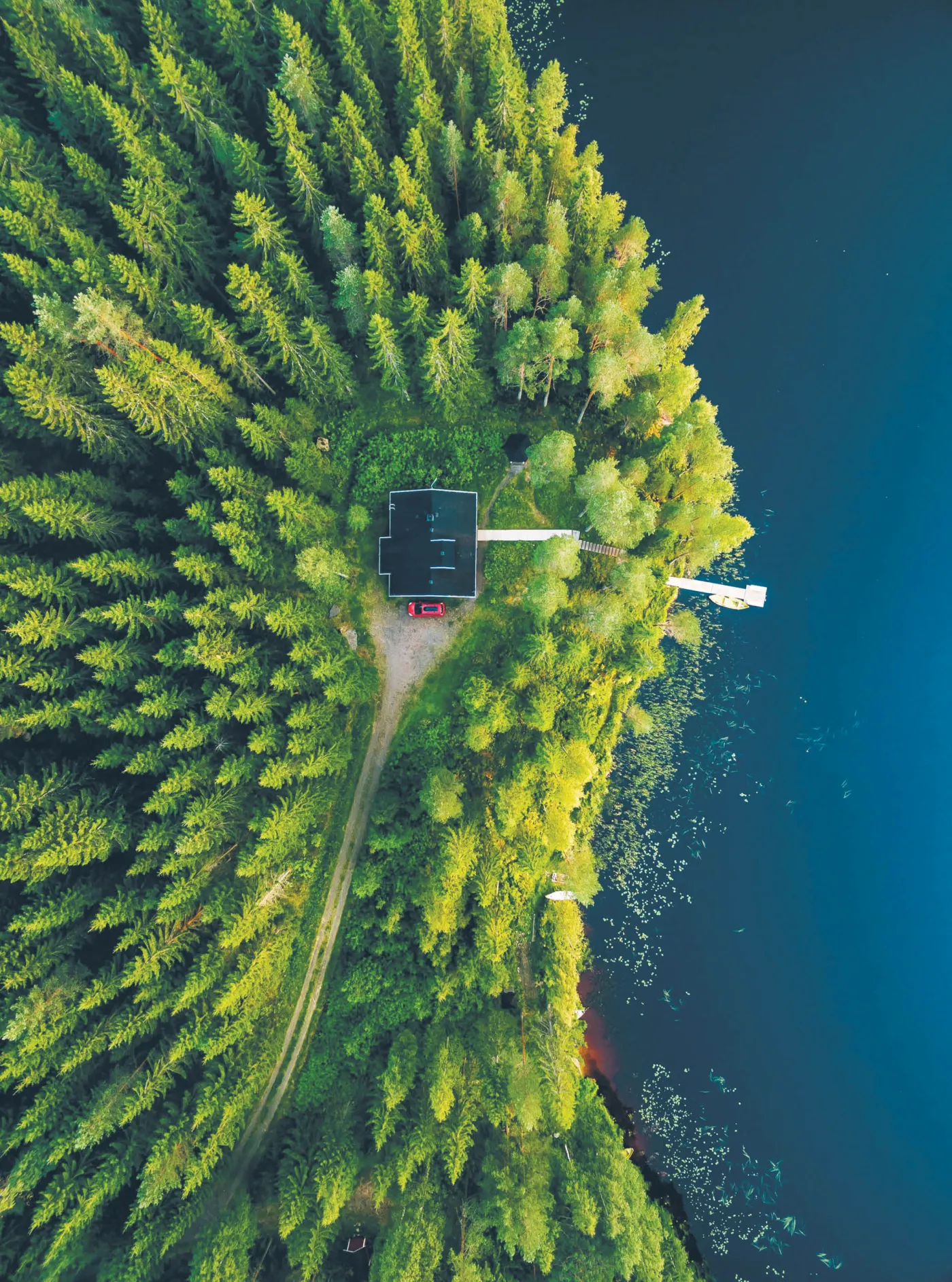 Tkaniny z drewna i warzywa zamiast mięsa. Zobacz, jak Finowie walczą z globalnym ociepleniem