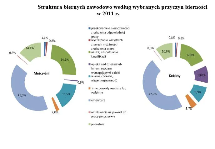 924021-struktura-biernych-zawodowo-wedlug-wybranych-przyczyn-biernosci-w-2011-roku.jpg