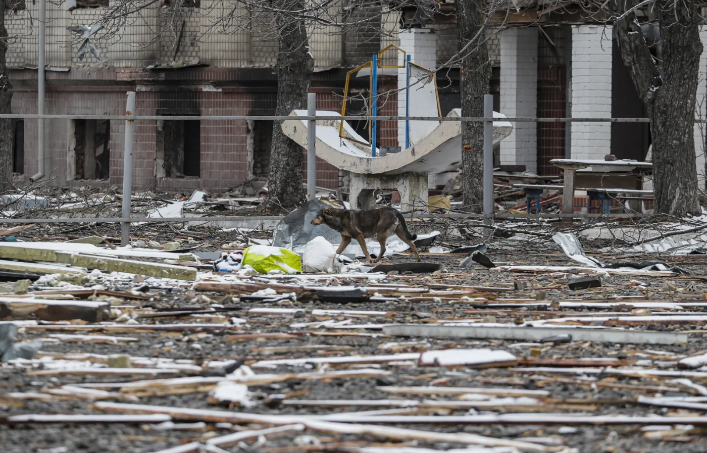 "Washington Examiner”: Wojna obronna Ukrainy jak "cud nad Dnieprem"