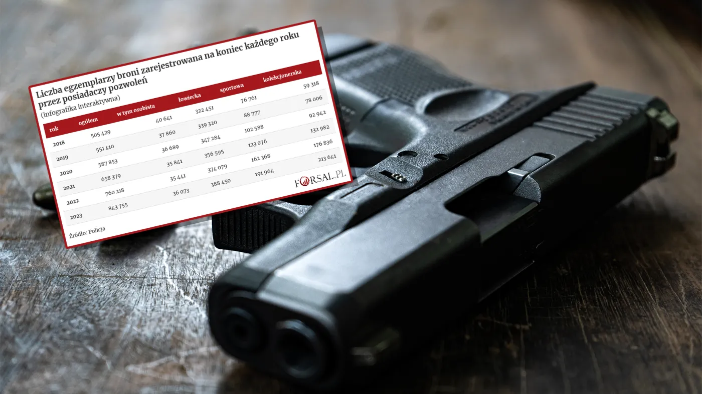 Skokowy wzrost liczby kupionej broni przez Polaków. Z czego wynika ten trend?