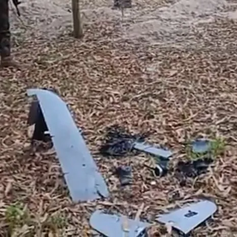 Udostępniane przez Pakistańczyków zdjęcie przedstawia resztki drona Warmate.