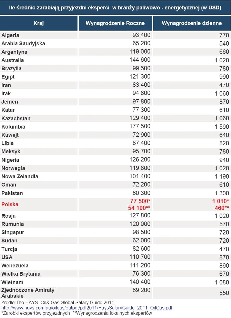 611149-ile-srednio-zarabiaja-przyjezdni-eksperci-w-branzy-paliwowo-energetycznej-w-usd.jpg