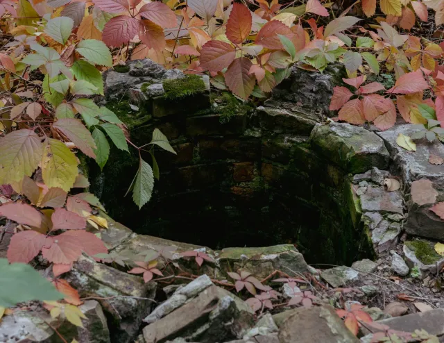 Możesz pożegnać się ze swoją wodą ze studni, jeśli nie dopełnisz tej formalności. Rząd zapowiada kontrole, a kary są wysokie
